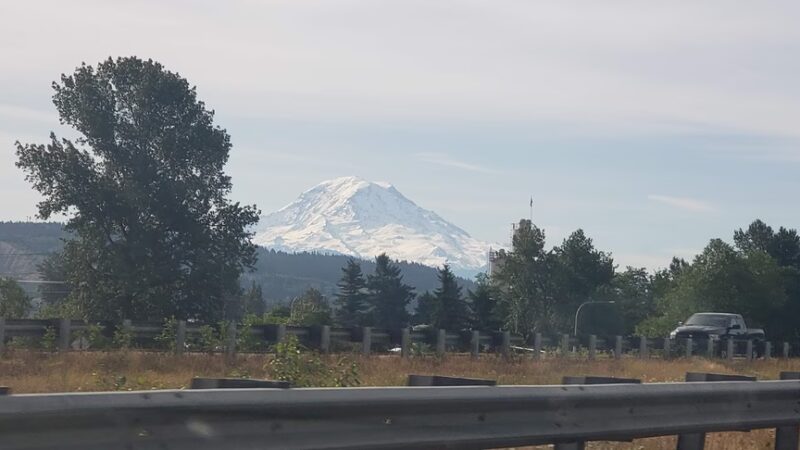 Otter Park - Pacific, WA