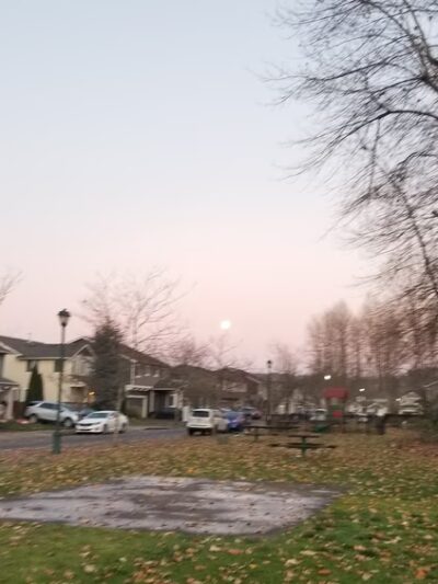 Otter Park - Pacific, WA