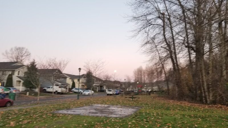 Otter Park - Pacific, WA