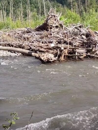Pacific City Park - Pacific, WA