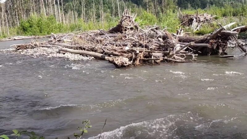 Pacific City Park - Pacific, WA