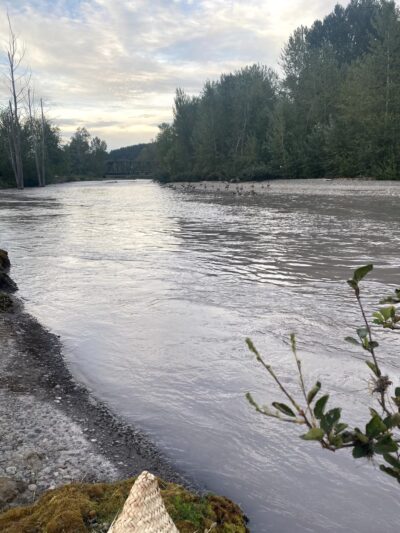Pacific City Park - Pacific, WA