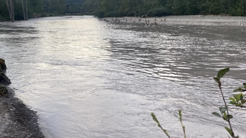 Pacific City Park - Pacific, WA