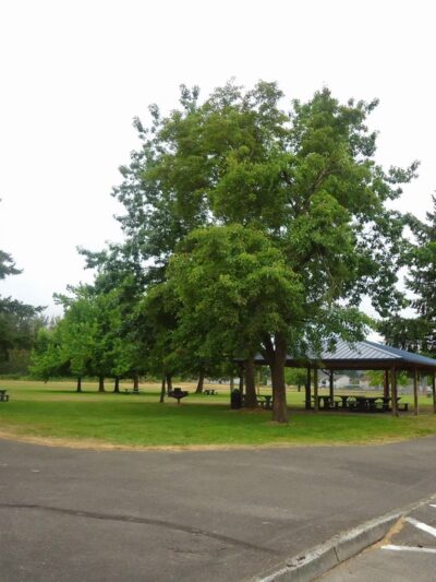 Pacific City Park - Pacific, WA