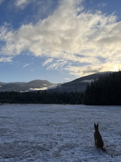 Packwood Park - Packwood, WA