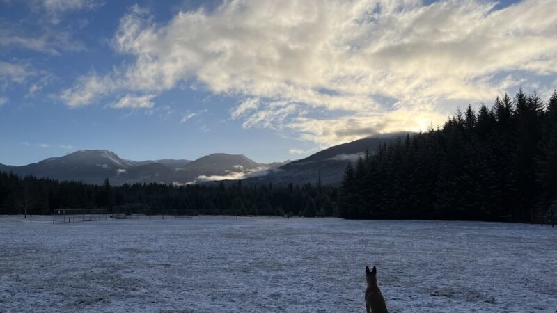 Packwood Park - Packwood, WA