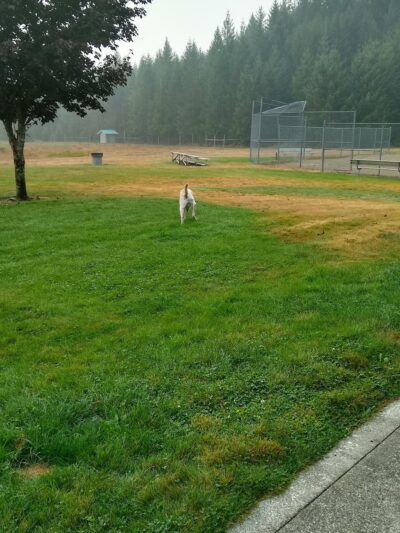 Packwood Park - Packwood, WA