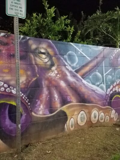 Paia Town Public Parking - Paia, HI