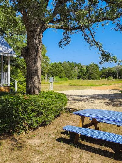 The Patch in Paige - Paige, TX
