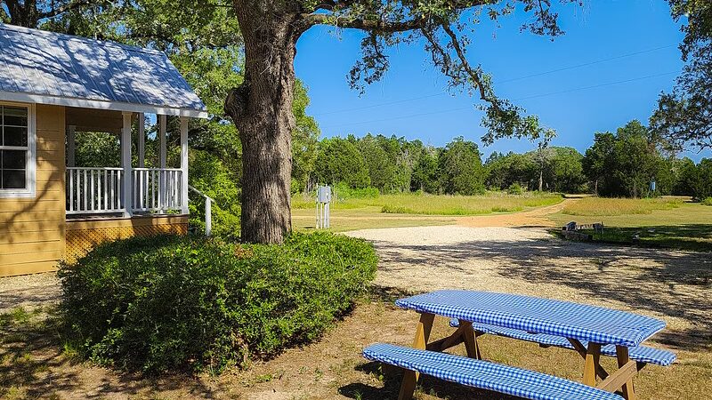 The Patch in Paige - Paige, TX
