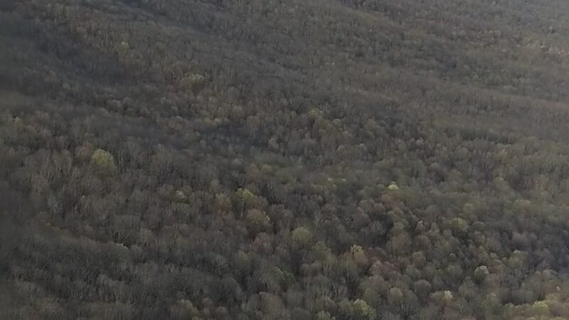 Hanging Rock Overlook Trail - Paint Bank, VA