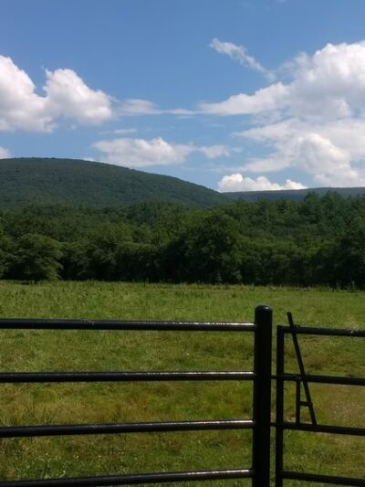 Hollow Hill Farm - Paint Bank, VA