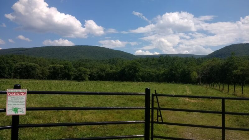 Hollow Hill Farm - Paint Bank, VA