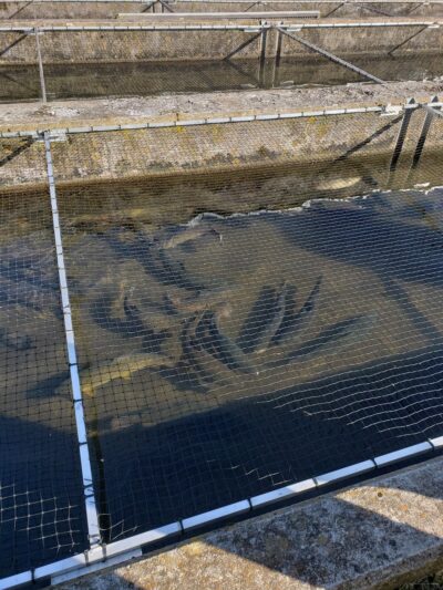 Paint Bank State Fish Hatchery - Paint Bank, VA