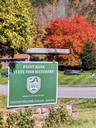 Paint Bank State Fish Hatchery - Paint Bank, VA
