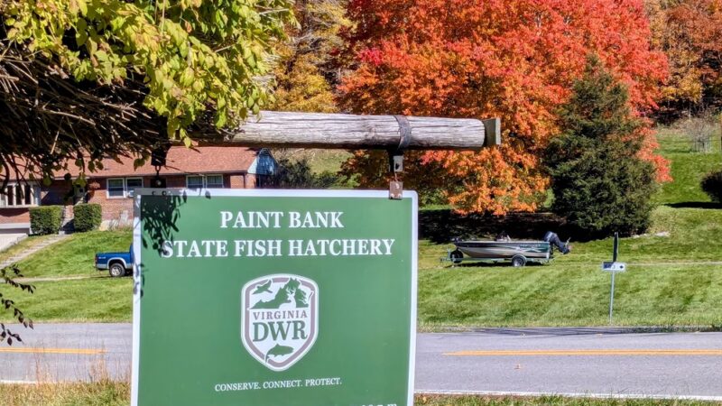 Paint Bank State Fish Hatchery - Paint Bank, VA