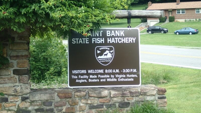Paint Bank State Fish Hatchery - Paint Bank, VA