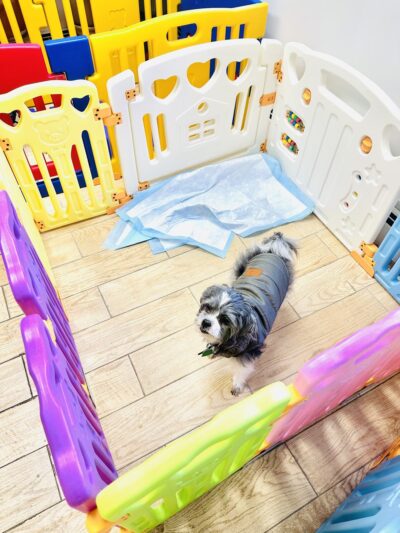 Grooming Salon Inc. - Palisades Park, NJ