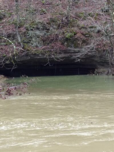 Pall Mall - Pall Mall, TN