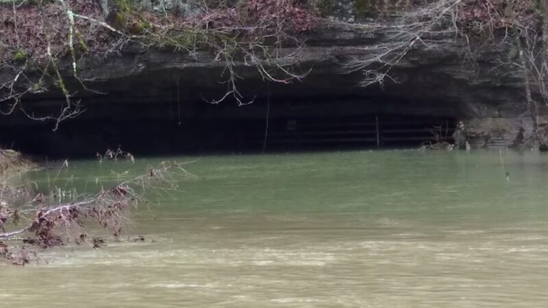 Pall Mall - Pall Mall, TN