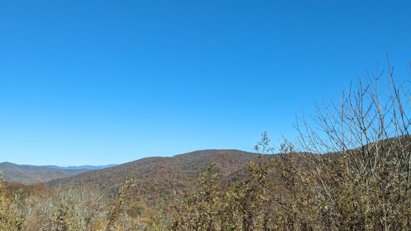 Pall Mall - Pall Mall, TN