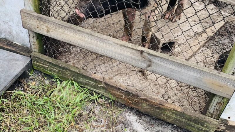 Micco Scrub Sanctuary - Palm Bay, FL