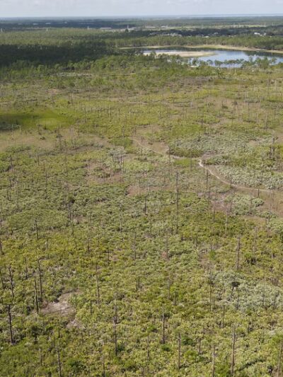 Micco Scrub Sanctuary - Palm Bay, FL