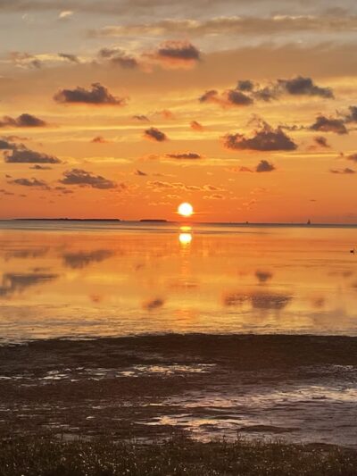 Crystal Beach - Palm Harbor, FL