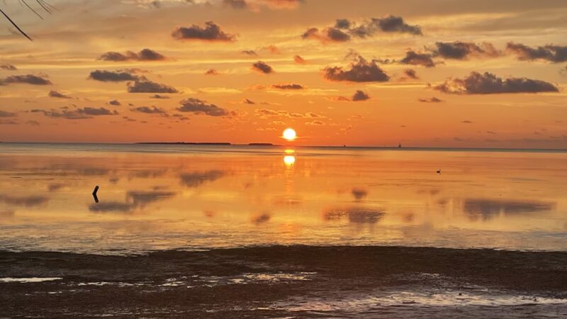 Crystal Beach - Palm Harbor, FL