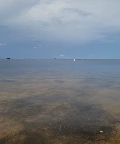Crystal Beach - Palm Harbor, FL
