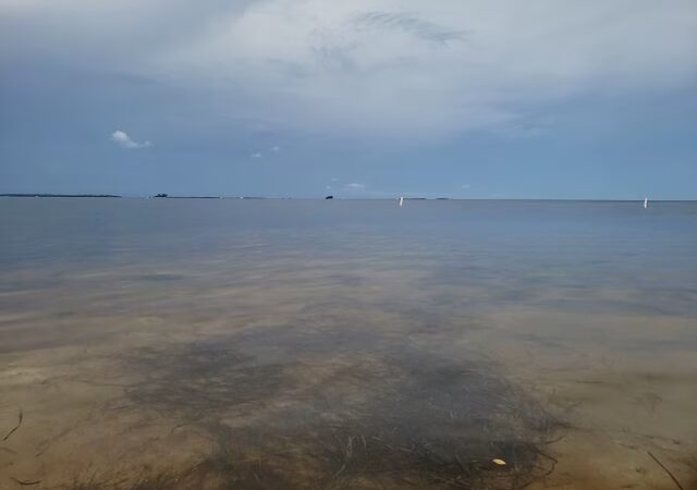 Crystal Beach - Palm Harbor, FL