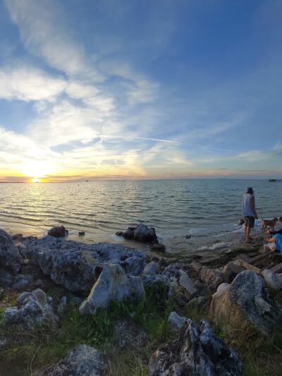 Crystal Beach - Palm Harbor, FL