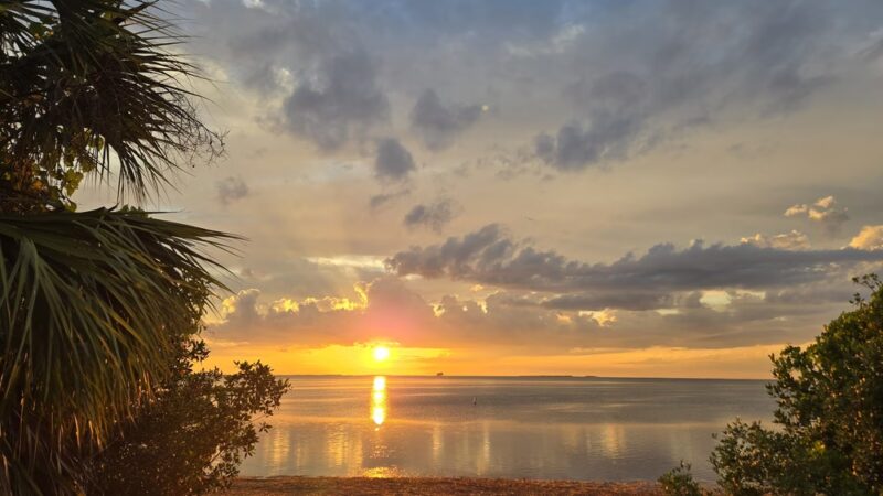 Crystal Beach - Palm Harbor, FL