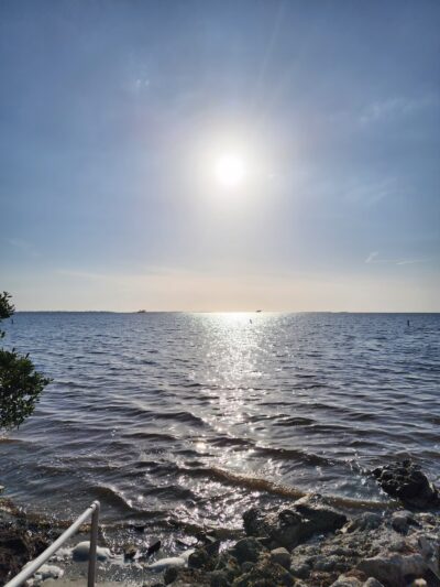 Crystal Beach - Palm Harbor, FL