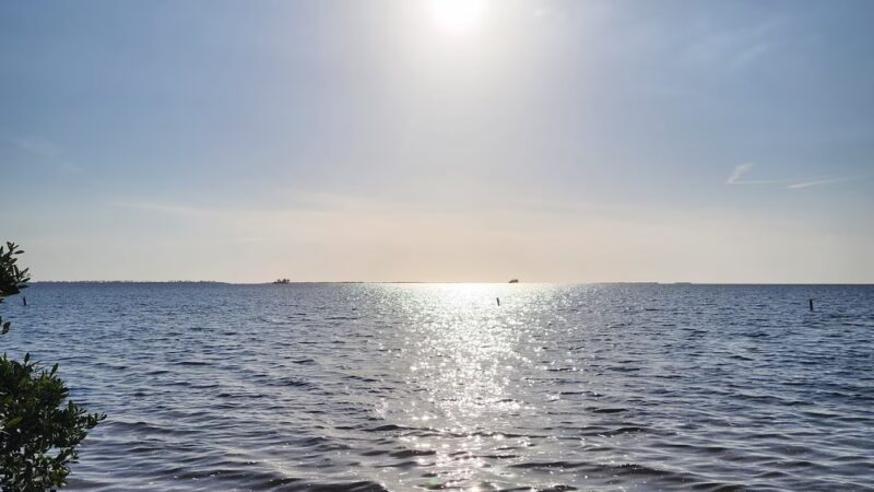 Crystal Beach - Palm Harbor, FL