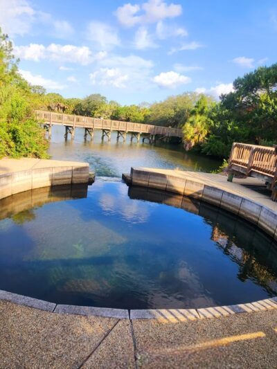 Wall Springs Park - Palm Harbor, FL