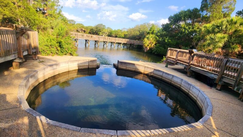 Wall Springs Park - Palm Harbor, FL