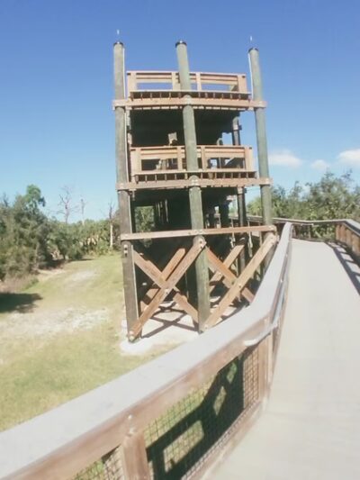 Wall Springs Park - Palm Harbor, FL