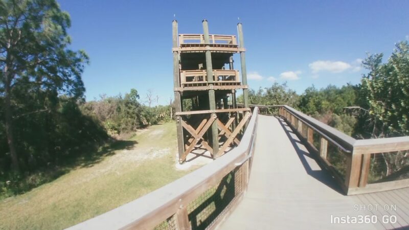 Wall Springs Park - Palm Harbor, FL