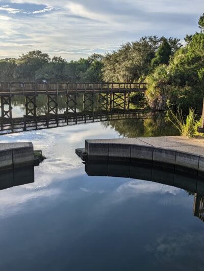 Wall Springs Park - Palm Harbor, FL