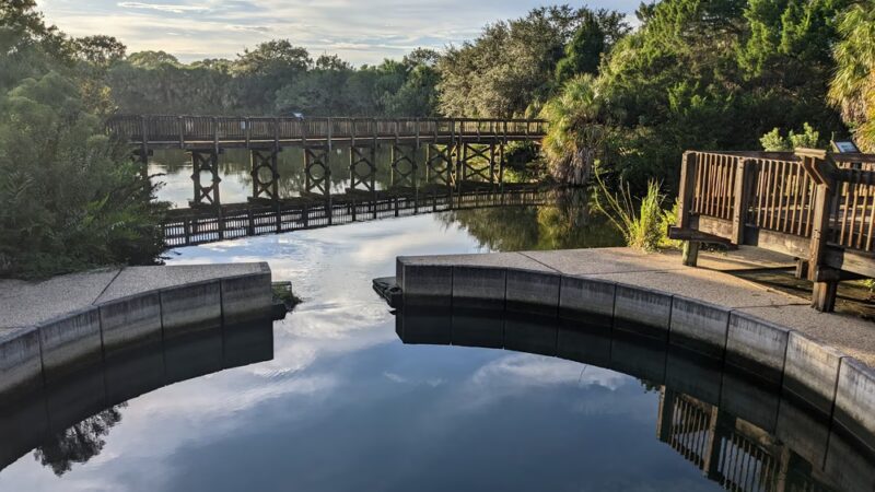 Wall Springs Park - Palm Harbor, FL