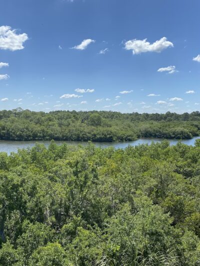 Wall Springs Park - Palm Harbor, FL