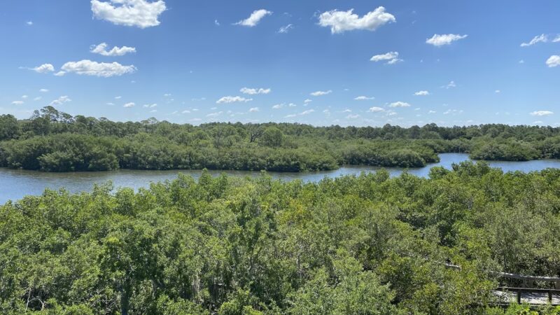 Wall Springs Park - Palm Harbor, FL