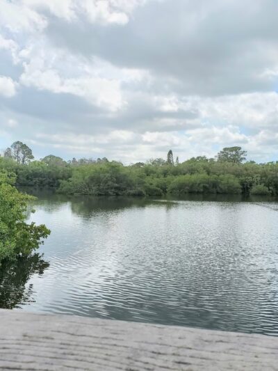 Wall Springs Park - Palm Harbor, FL