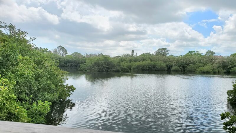 Wall Springs Park - Palm Harbor, FL