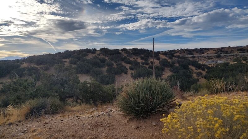 Barrel Springs Trail - Palmdale, CA