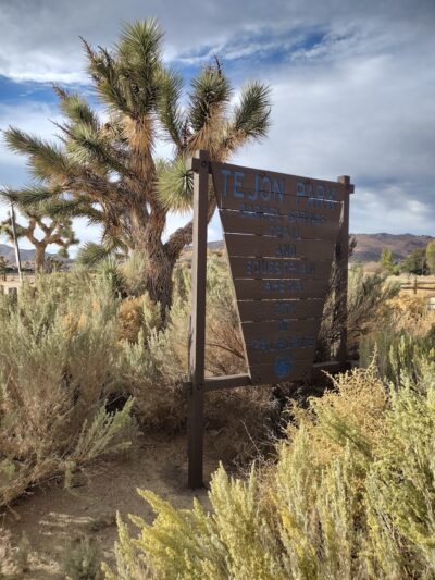Barrel Springs Trail - Palmdale, CA