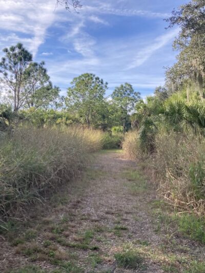 Terra Ceia Preserve State Park Trailhead - Palmetto, FL