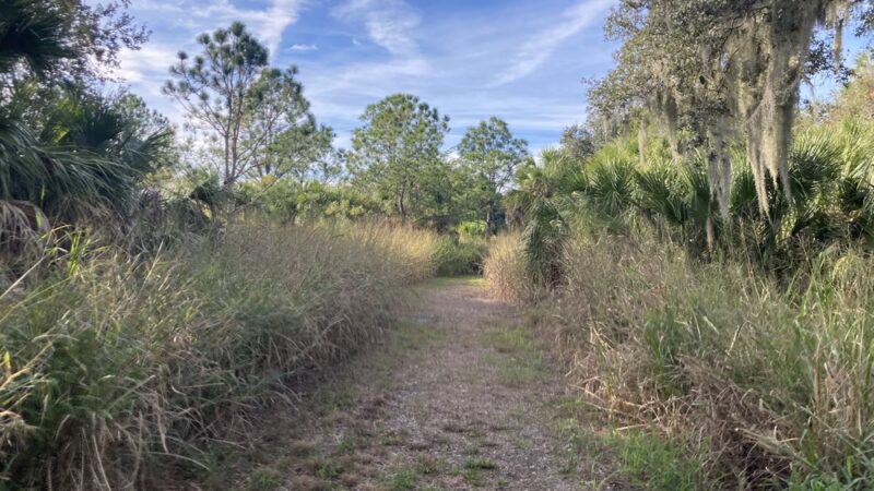 Terra Ceia Preserve State Park Trailhead - Palmetto, FL