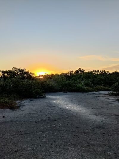 Terra Ceia Preserve State Park Trailhead - Palmetto, FL
